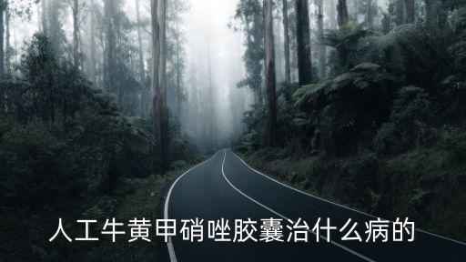 人工牛黃甲硝唑膠囊治什么病的