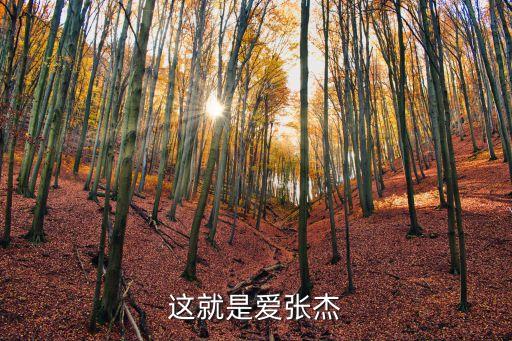 這就是愛張杰