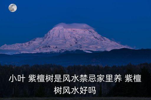 小葉 紫檀樹是風水禁忌家里養(yǎng) 紫檀樹風水好嗎