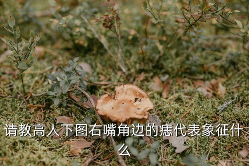 請教高人下圖右嘴角邊的痣代表象征什么
