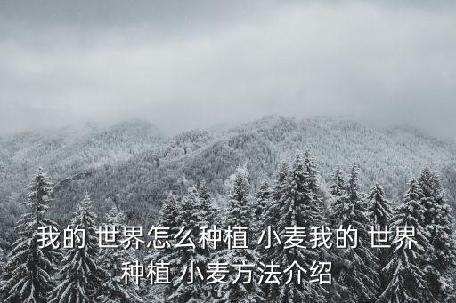 我的世界小麥,從骨灰到種子轉(zhuǎn)化為種子!