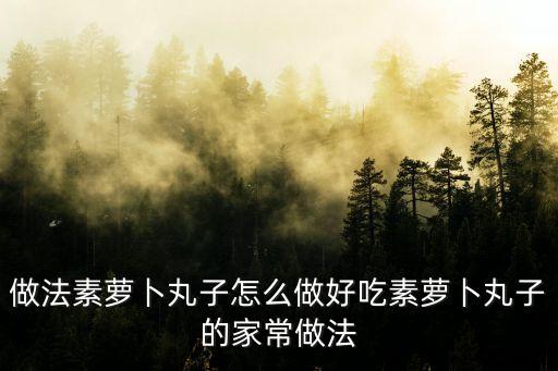 做法素蘿卜丸子怎么做好吃素蘿卜丸子的家常做法
