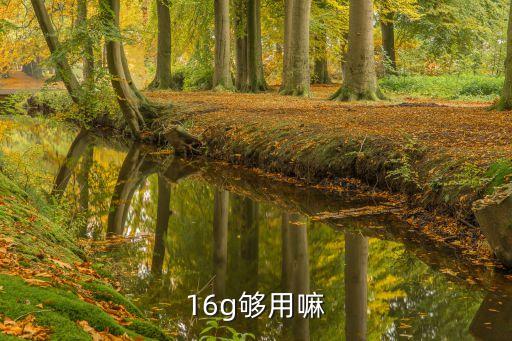 電腦16g內存夠用嗎，16g夠用嗎