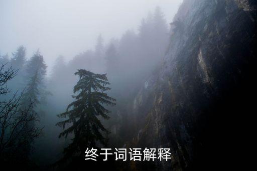 終于是什么意思，終于詞語解釋