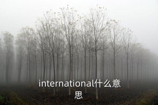  international什么意思