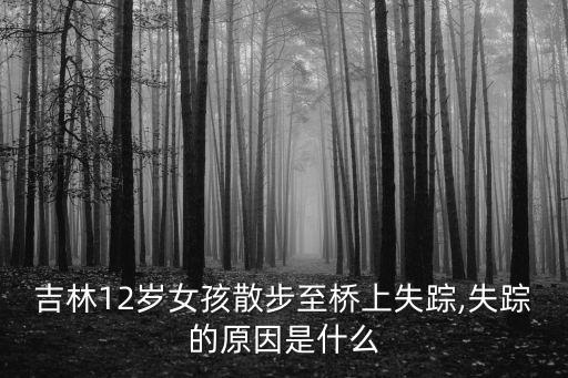 消失的女孩,吉林市12歲女孩走到橋上失蹤父親把她留在家里