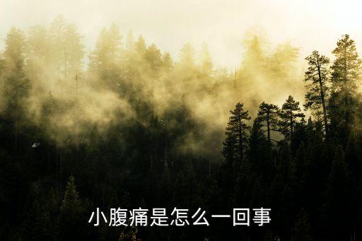 小腹疼痛是怎么回事，小腹痛是怎么一回事