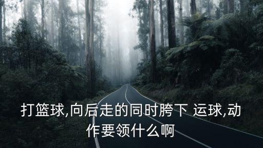 胯下運球教學分解動作,運球時注意什么東西?