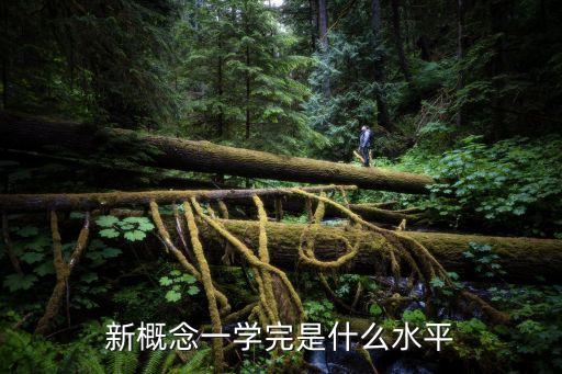 新概念一，怎樣學新概念1