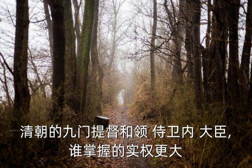清朝的九門提督和領 侍衛內 大臣,誰掌握的實權更大