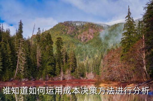 成本費(fèi)用決策，經(jīng)濟(jì)學(xué)中的沉默成本