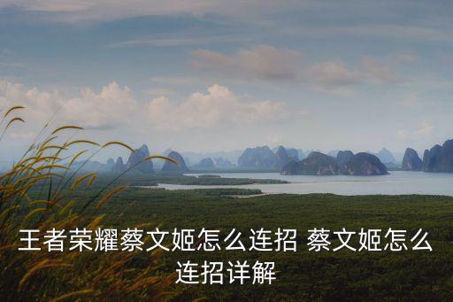 王者榮耀蔡文姬怎么連招 蔡文姬怎么連招詳解