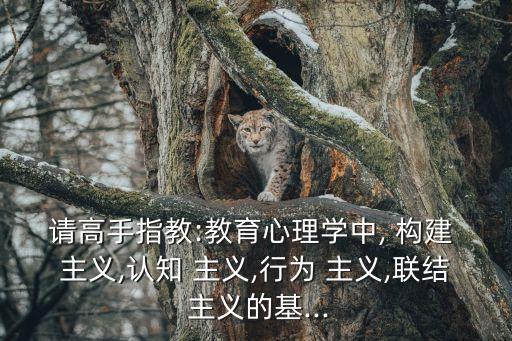 構建主義,建構主義學習理論簡介及啟示