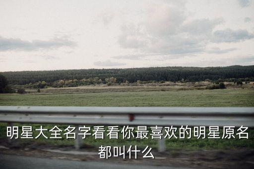 明星起名，明星的名字