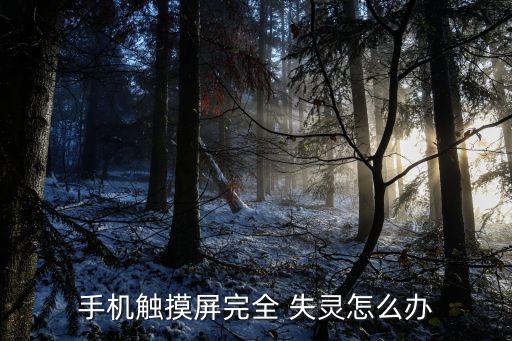 觸屏失靈,華為手機(jī)出現(xiàn)觸屏故障可做以下故障排除