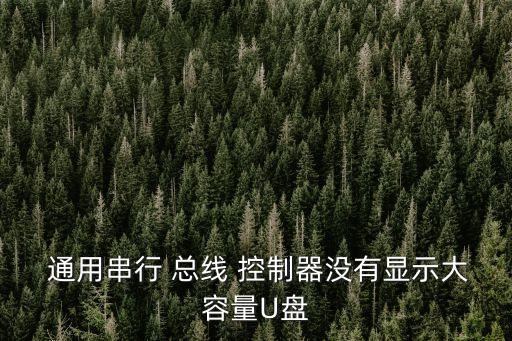 通用串行總線控制器,serial總線控制器壞了怎么辦?