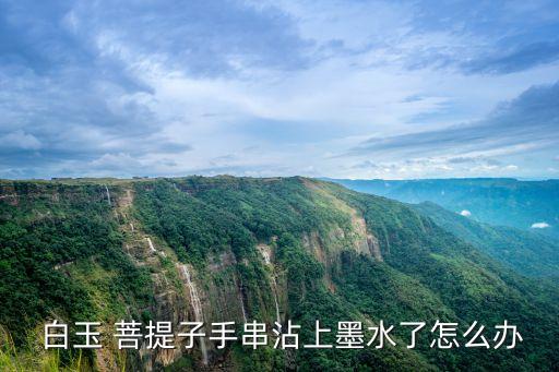 白玉菩提子,白玉菩提手串功效與作用:治療失眠心悸失眠