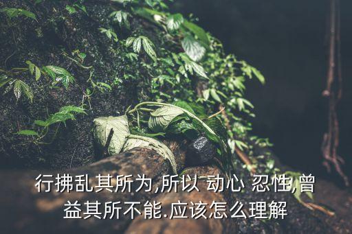 行拂亂其所為,所以 動心 忍性,曾益其所不能.應該怎么理解