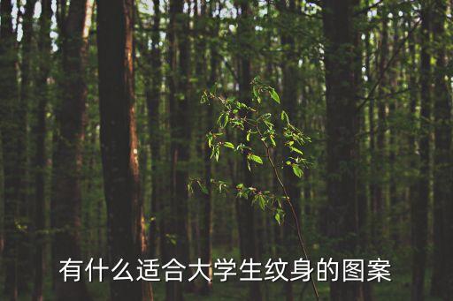 有什么適合大學生紋身的圖案