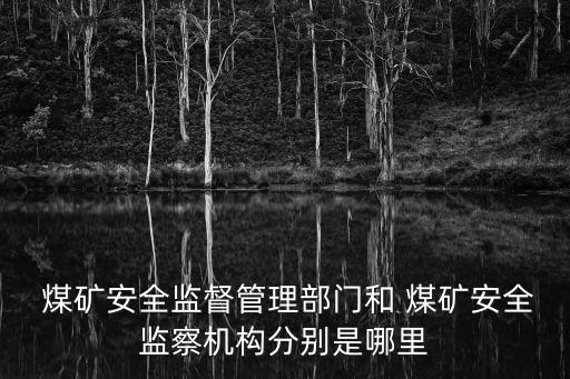 國家煤礦安全監察局
