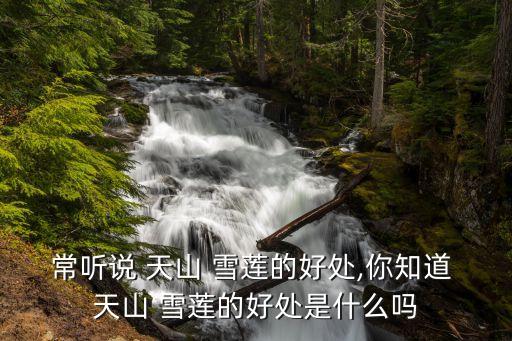 新疆天山雪蓮,關(guān)于天山雪原你必須知道的事情