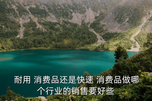  耐用 消費品還是快速 消費品做哪個行業的銷售要好些