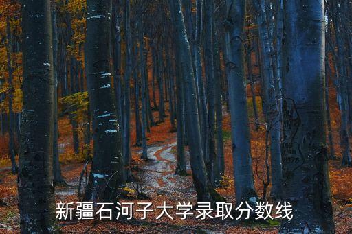 石河子大學(xué)分?jǐn)?shù)線，10年新疆石河子大學(xué)二本錄取分?jǐn)?shù)線