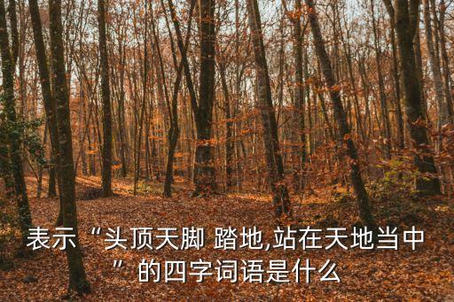 表示“頭頂天腳 踏地,站在天地當中”的四字詞語是什么