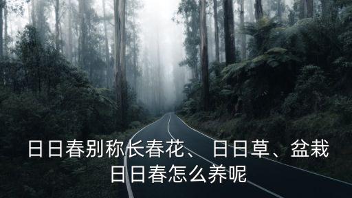  日日春別稱長春花、 日日草、盆栽 日日春怎么養(yǎng)呢