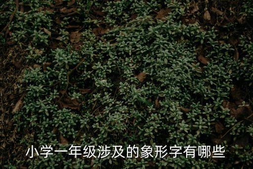 小學一年級涉及的象形字有哪些