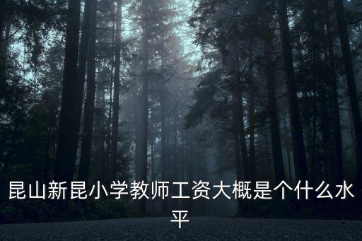 新昆小學(xué)，2012年新昆小學(xué)啥時(shí)候開學(xué)