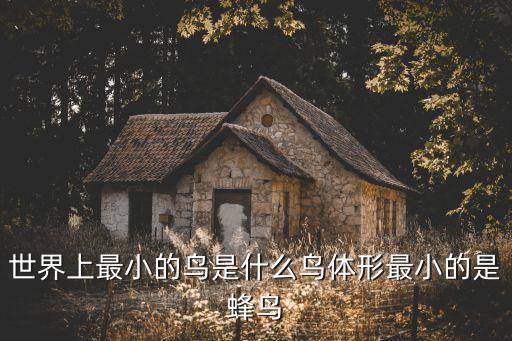 世界上最小的鳥是什么鳥體形最小的是蜂鳥