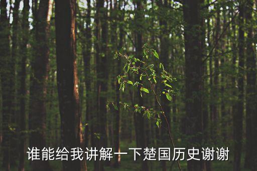誰能給我講解一下楚國歷史謝謝