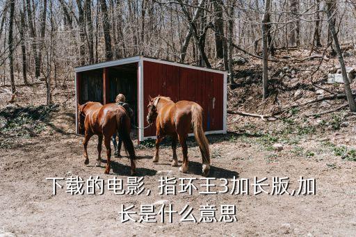 指環王3下載,指環王3:王者歸來第三集完整版
