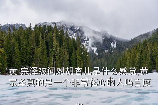 王宗澤,黃宗澤參加《真相》游戲扮演女主角妻子