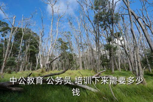中公教育 公務(wù)員 培訓(xùn)下來需要多少錢