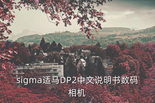 sigma適馬DP2中文說明書數碼相機
