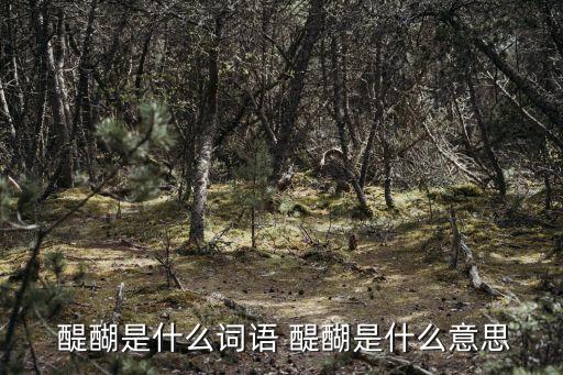  醍醐是什么詞語 醍醐是什么意思