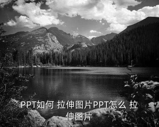 圖片拉伸,如何在手機上拉伸圖片?方便快捷!