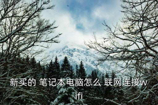 筆記本怎么聯網,筆記本電腦怎么連接互聯網?