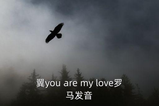 羅馬英語(yǔ)，雨中看羅馬的英文翻譯拜托啦