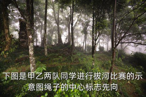 下圖是甲乙兩隊(duì)同學(xué)進(jìn)行拔河比賽的示意圖繩子的中心標(biāo)志先向