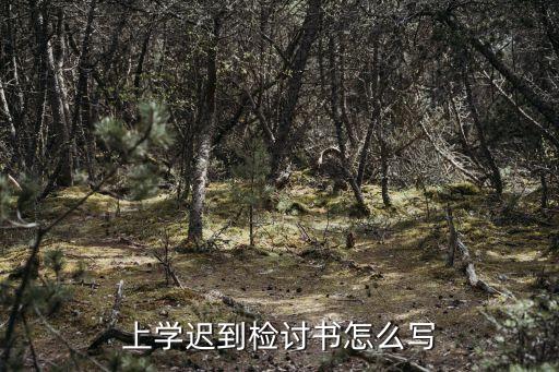 上學遲到檢討書怎么寫