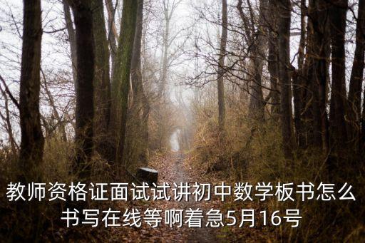 數學板書設計，小學數學教案后面的板書設計怎么寫好像只要簡單的說明下就好