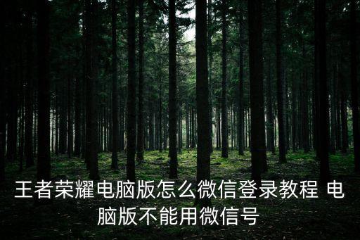 王者榮耀pc，pc上運行的王者榮耀只能是安卓的嗎
