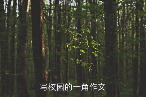 校園的一角，校園一角作文600字