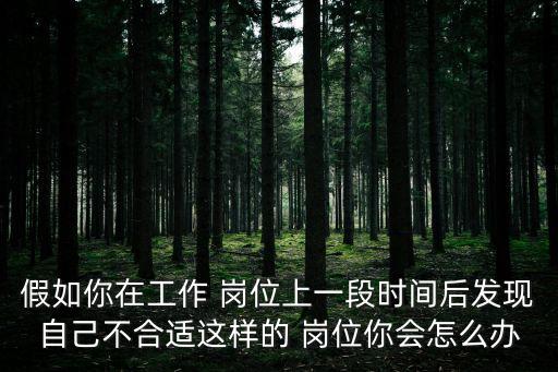在自己的崗位上,如何在職場有所收獲?