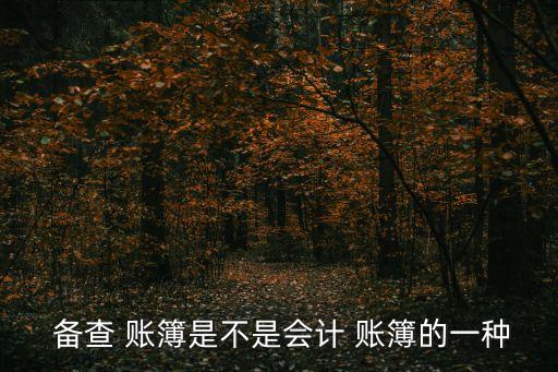  備查 賬簿是不是會計 賬簿的一種