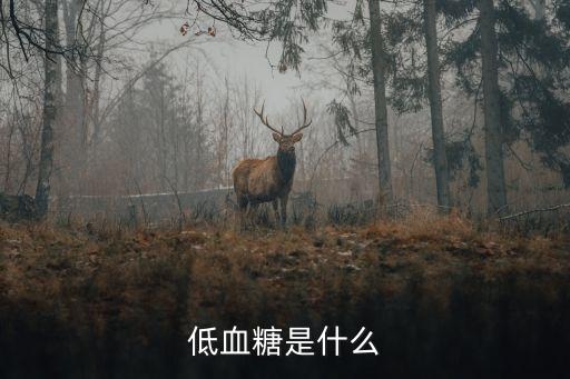 什么是低血糖，低血糖是什么