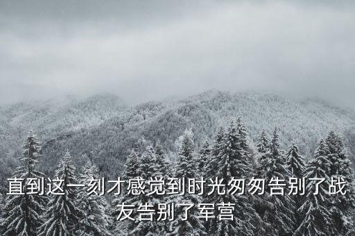 直到這一刻才感覺到時(shí)光匆匆告別了戰(zhàn)友告別了軍營